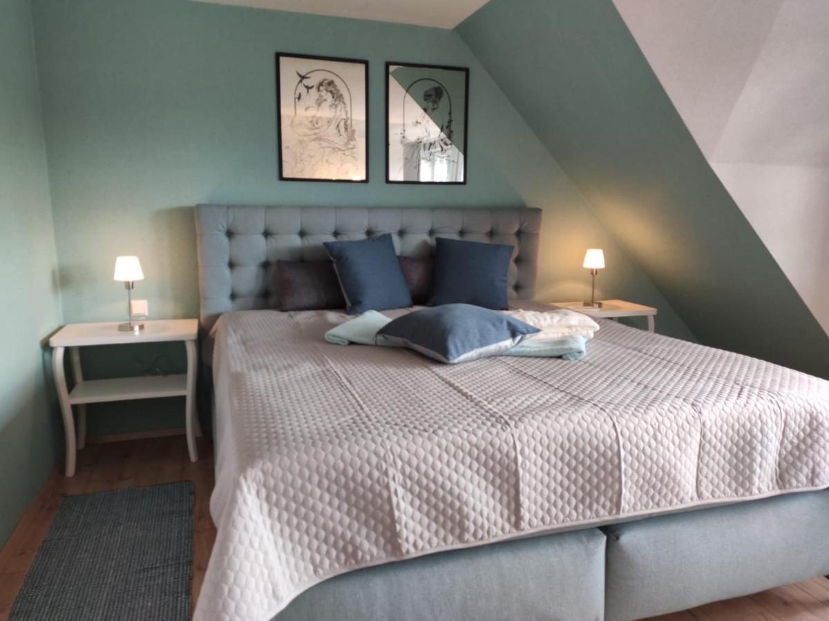 Ferienhaus Blaue Blume Mit 11 Kw Ladestation, Kamin, Terrasse, Eingezaeuntem Garten, Sauna, Wlan, Netflix, 2 Hunde Willkommen! Guntersberge ภายนอก รูปภาพ