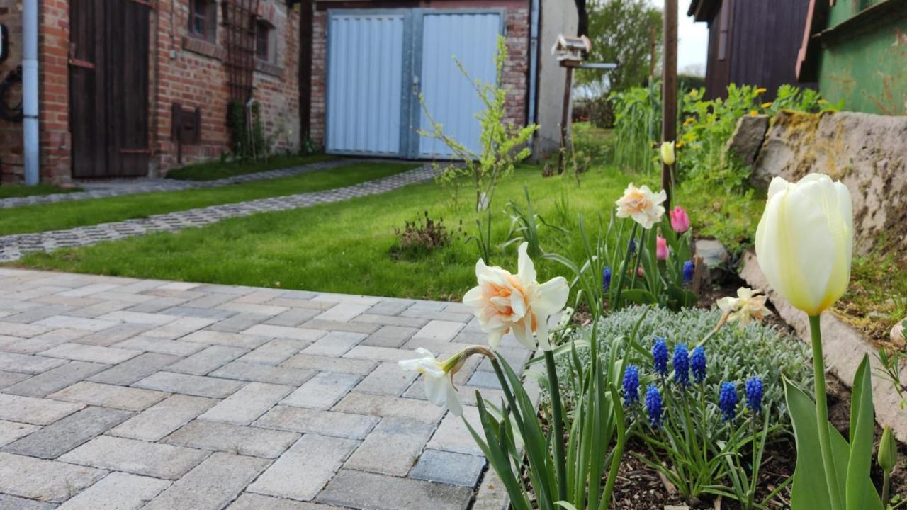 Ferienhaus Blaue Blume Mit 11 Kw Ladestation, Kamin, Terrasse, Eingezaeuntem Garten, Sauna, Wlan, Netflix, 2 Hunde Willkommen! Guntersberge ภายนอก รูปภาพ