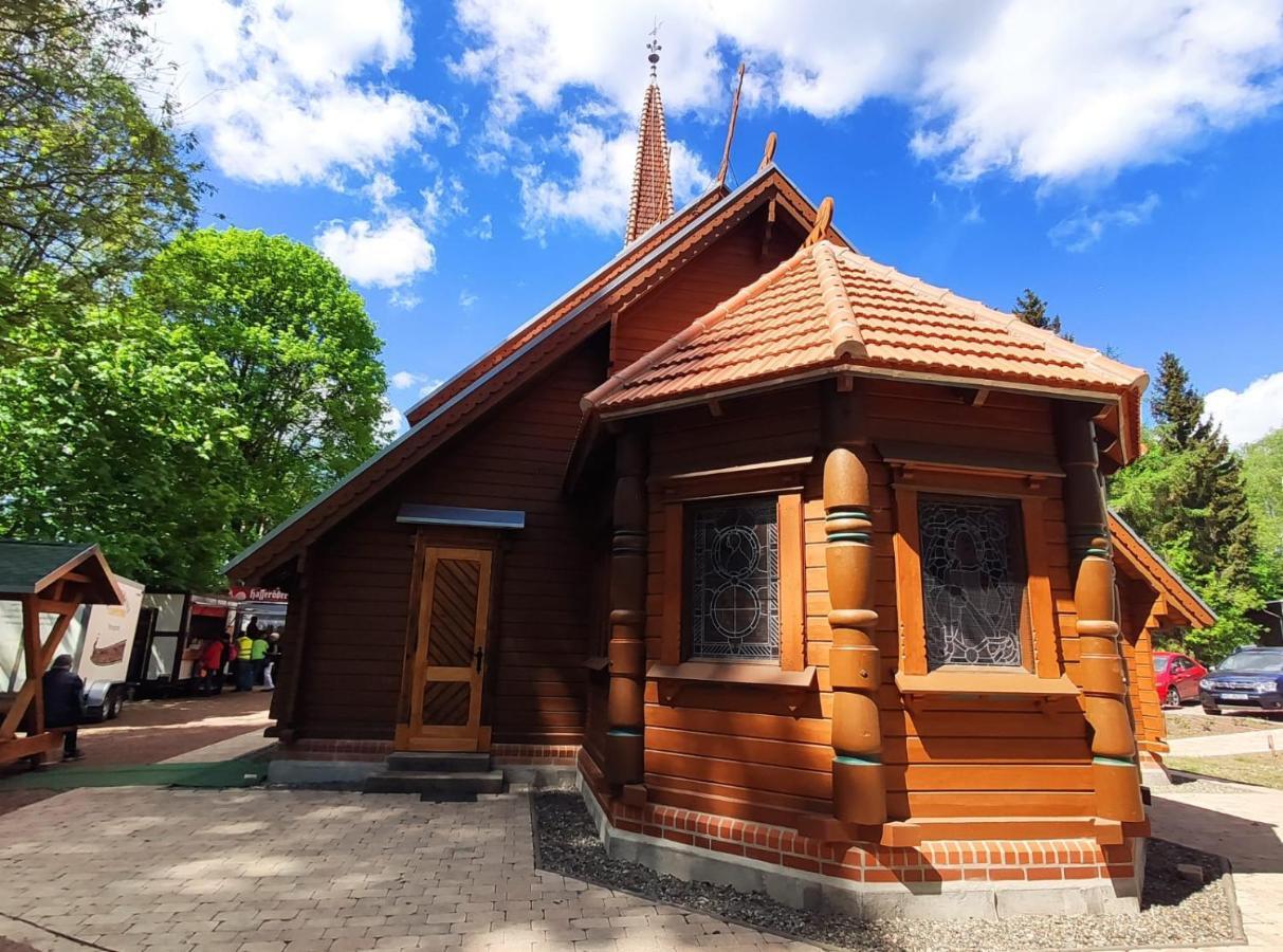 Ferienhaus Blaue Blume Mit 11 Kw Ladestation, Kamin, Terrasse, Eingezaeuntem Garten, Sauna, Wlan, Netflix, 2 Hunde Willkommen! Guntersberge ภายนอก รูปภาพ