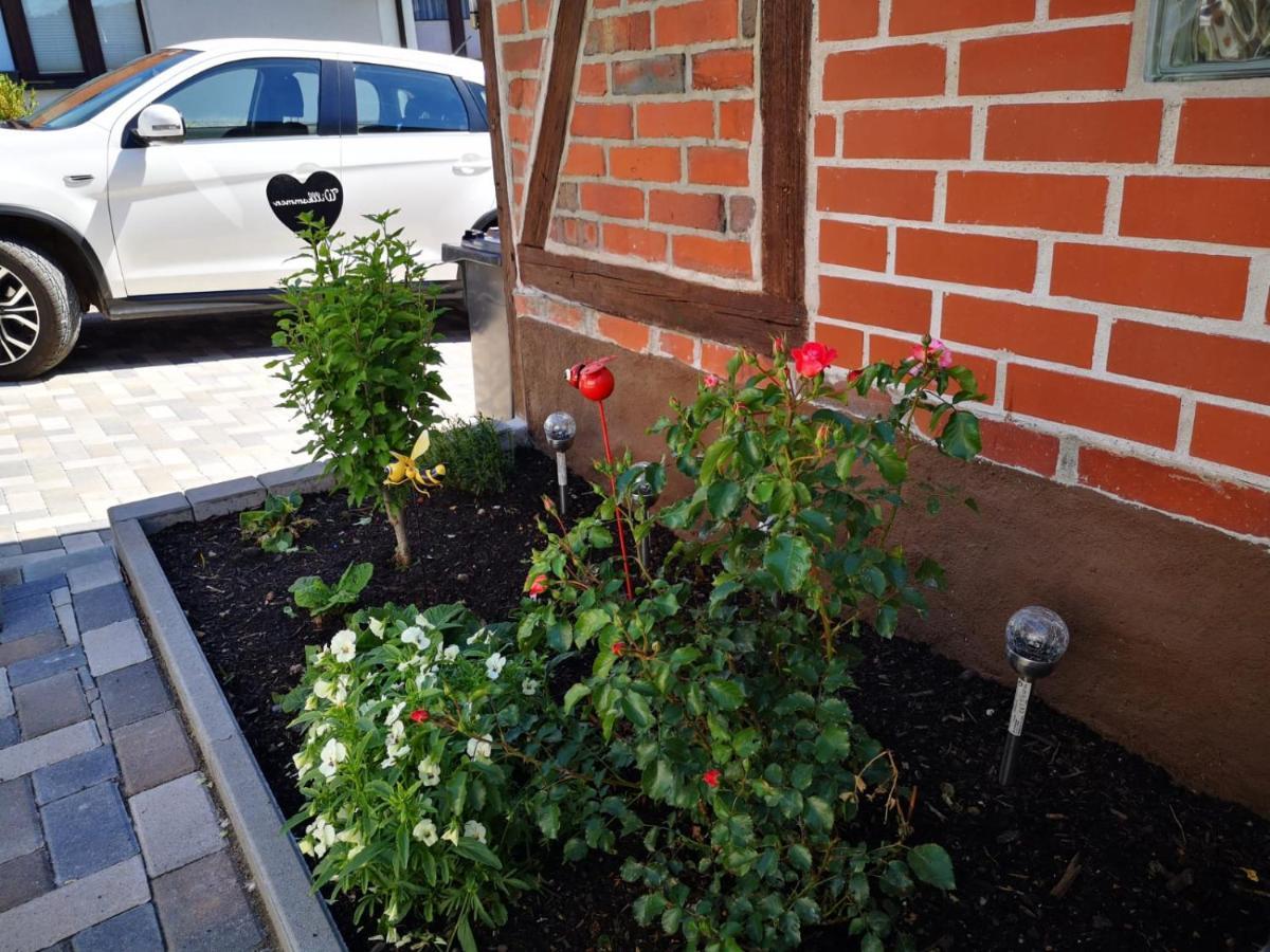Ferienhaus Blaue Blume Mit 11 Kw Ladestation, Kamin, Terrasse, Eingezaeuntem Garten, Sauna, Wlan, Netflix, 2 Hunde Willkommen! Guntersberge ภายนอก รูปภาพ