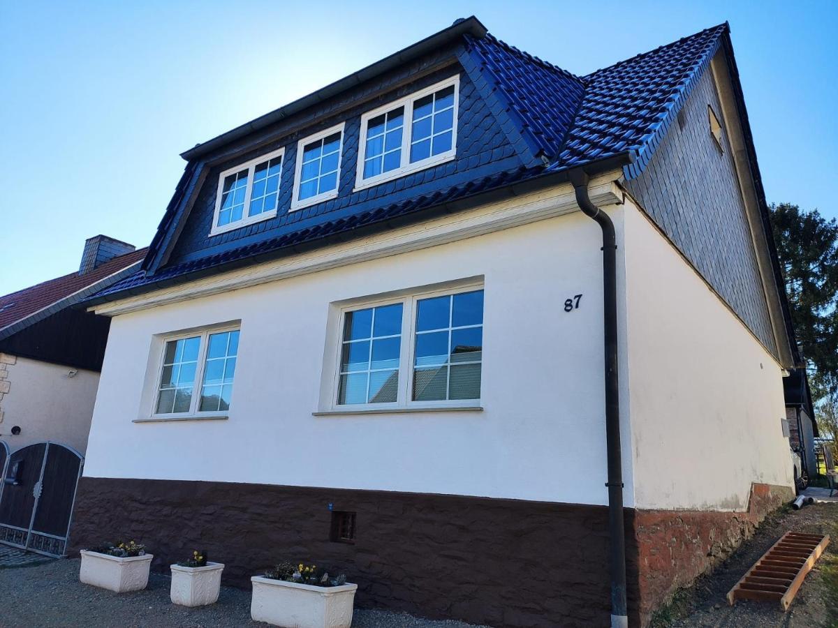 Ferienhaus Blaue Blume Mit 11 Kw Ladestation, Kamin, Terrasse, Eingezaeuntem Garten, Sauna, Wlan, Netflix, 2 Hunde Willkommen! Guntersberge ภายนอก รูปภาพ