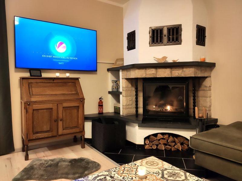 Ferienhaus Blaue Blume Mit 11 Kw Ladestation, Kamin, Terrasse, Eingezaeuntem Garten, Sauna, Wlan, Netflix, 2 Hunde Willkommen! Guntersberge ภายนอก รูปภาพ