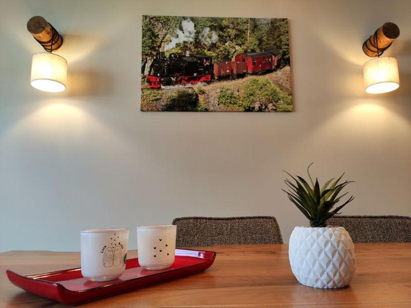 Ferienhaus Blaue Blume Mit 11 Kw Ladestation, Kamin, Terrasse, Eingezaeuntem Garten, Sauna, Wlan, Netflix, 2 Hunde Willkommen! Guntersberge ภายนอก รูปภาพ