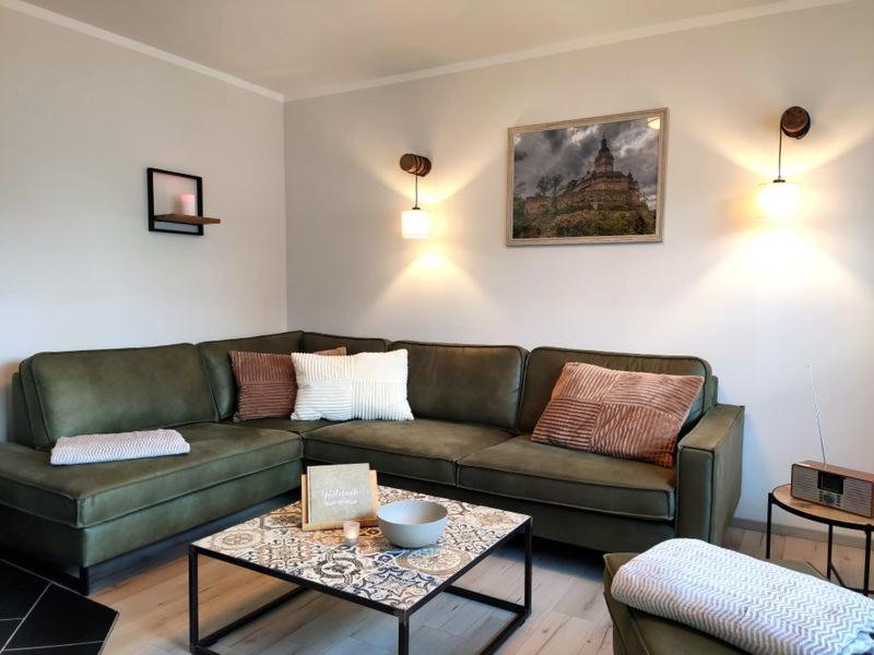 Ferienhaus Blaue Blume Mit 11 Kw Ladestation, Kamin, Terrasse, Eingezaeuntem Garten, Sauna, Wlan, Netflix, 2 Hunde Willkommen! Guntersberge ภายนอก รูปภาพ